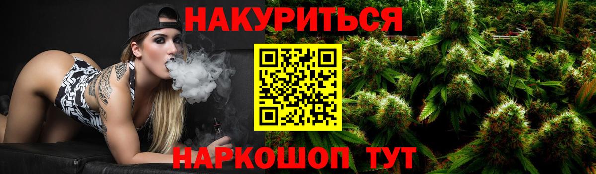 Бошки Шишки планчик  Марихуана план  Северобайкальск  Вход с VPN  Конопля сатива  Марихуана ГИДРОПОН 