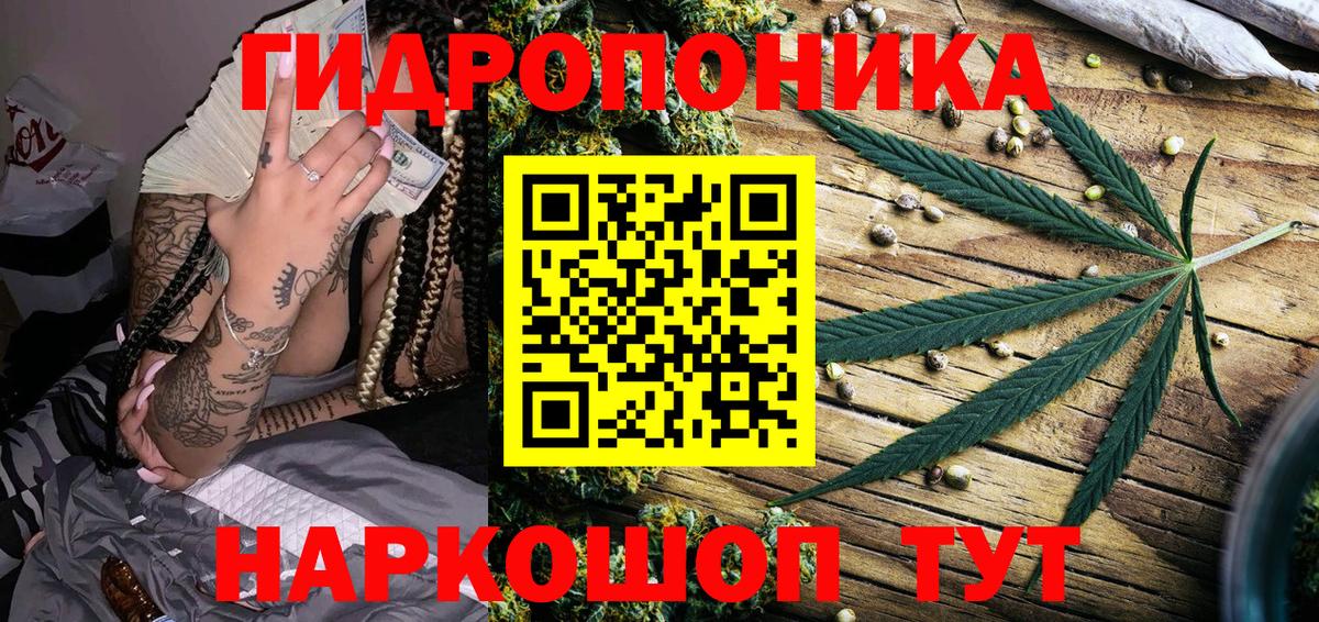 Конопля Bruce Banner Северобайкальск